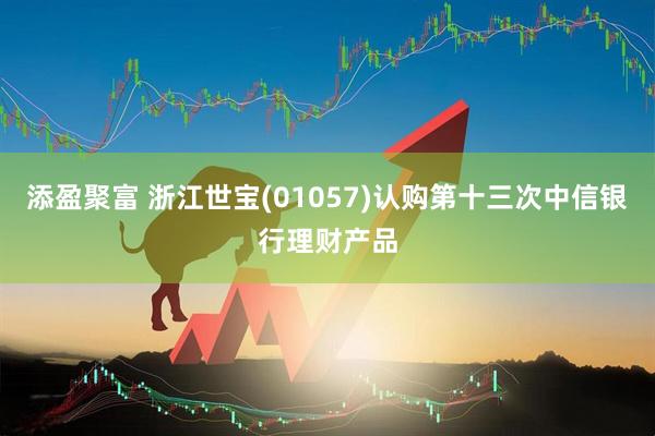 添盈聚富 浙江世宝(01057)认购第十三次中信银行理财产品