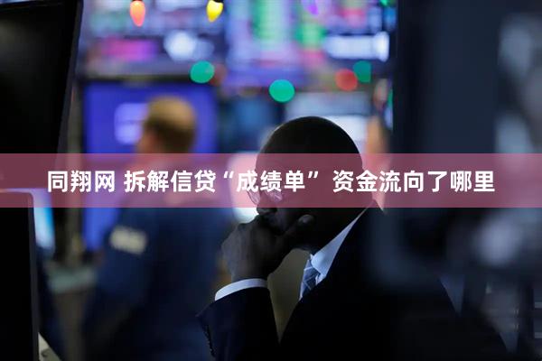 同翔网 拆解信贷“成绩单” 资金流向了哪里