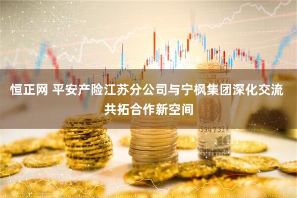 恒正网 平安产险江苏分公司与宁枫集团深化交流 共拓合作新空间